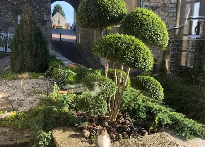 La Maison Sur Les Remparts Domfront (Orne)